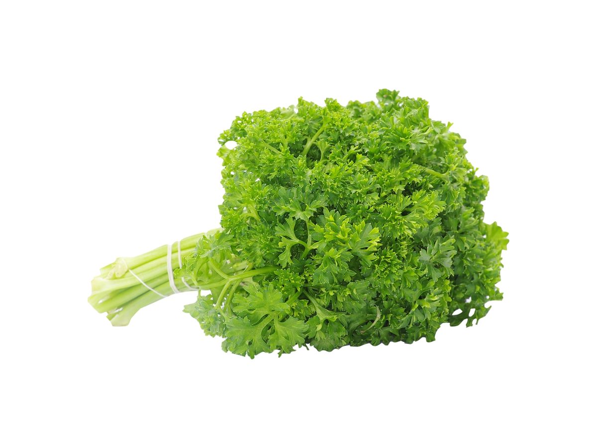 Perejil Rollito Pequeño