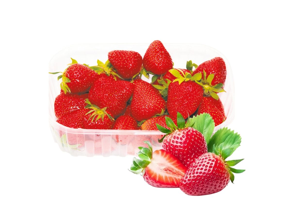 Fresa Bandeja 500 Gramos